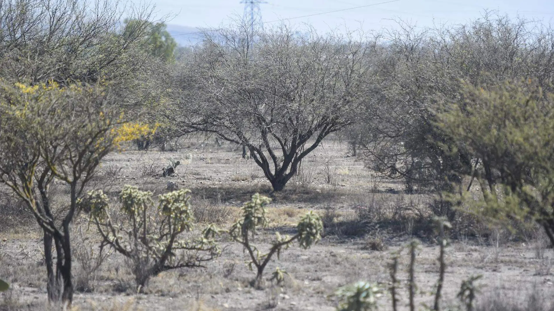 QUERETARO ENFRENTA